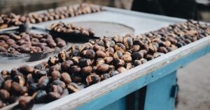 Ritorna la Festa della Castagna a Montoro con tante Castagne e buoni sapori d’Irpinia